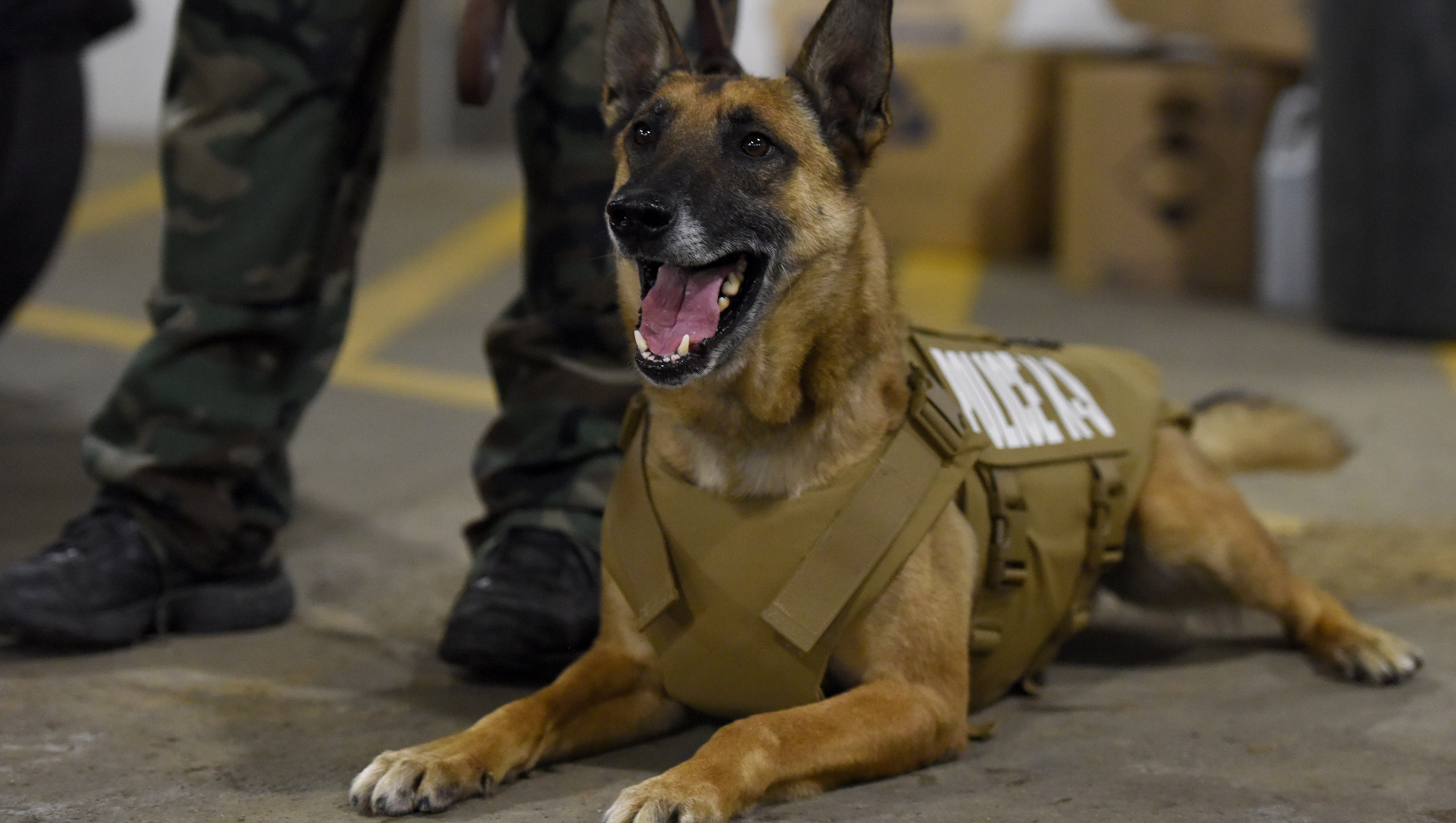 Police K9 officers get bulletproof vests