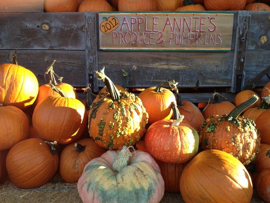 Pumpkins, warts and all, are ready for pickin' at Apple