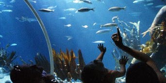 Big aquarium groundbreaking today