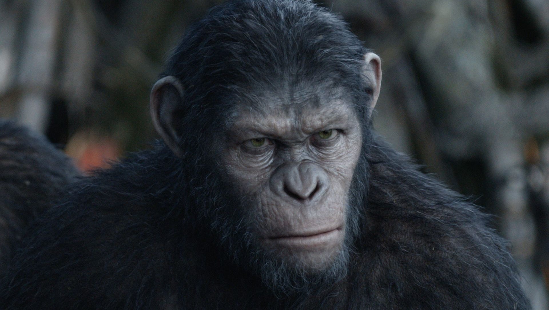 the dawn of the planet of the apes full movie