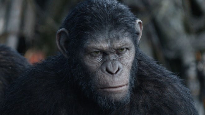 Guide To The Apes Of Dawn Of The Planet Of The Apes