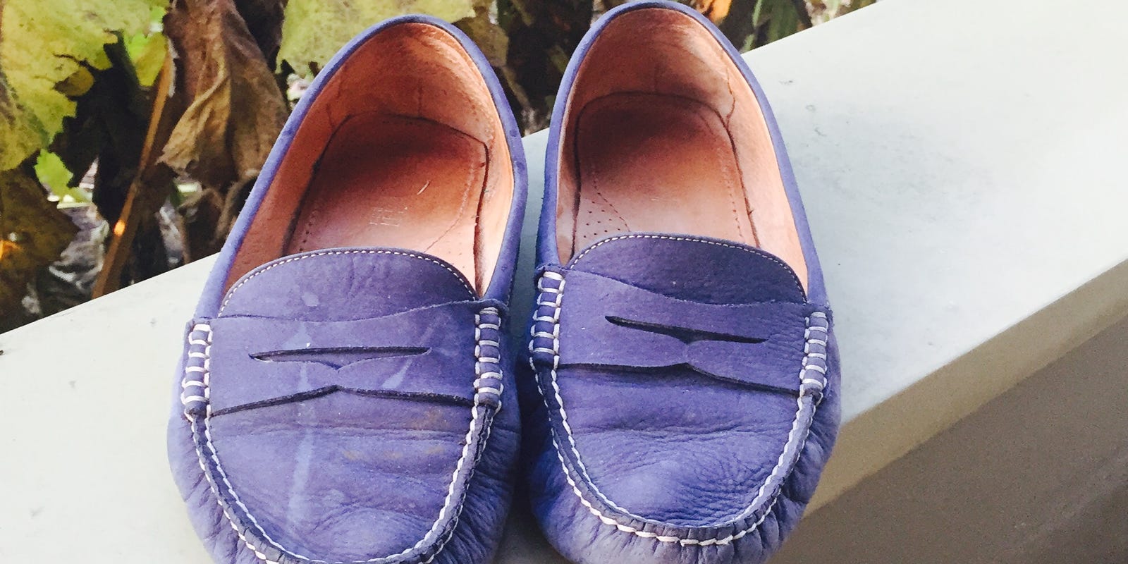 Finally A Decision About My Mouse Infested Shoes