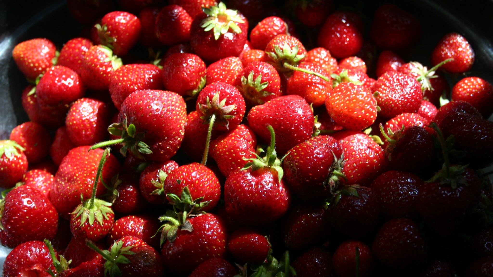 Plant fruit crops that grow well this side of divide