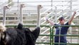 Eddie Duncan, of Maricopa, says hello to a few ostriches
