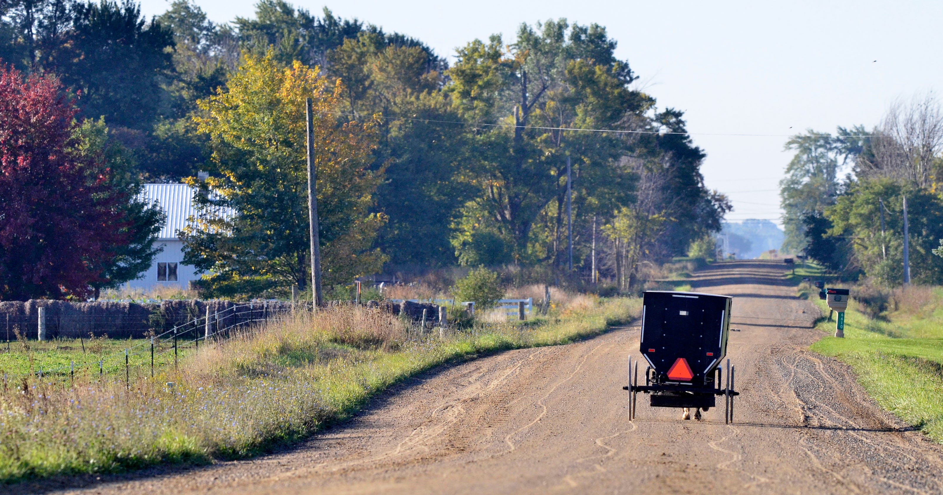 Amish buggies raise a stink in Brown City