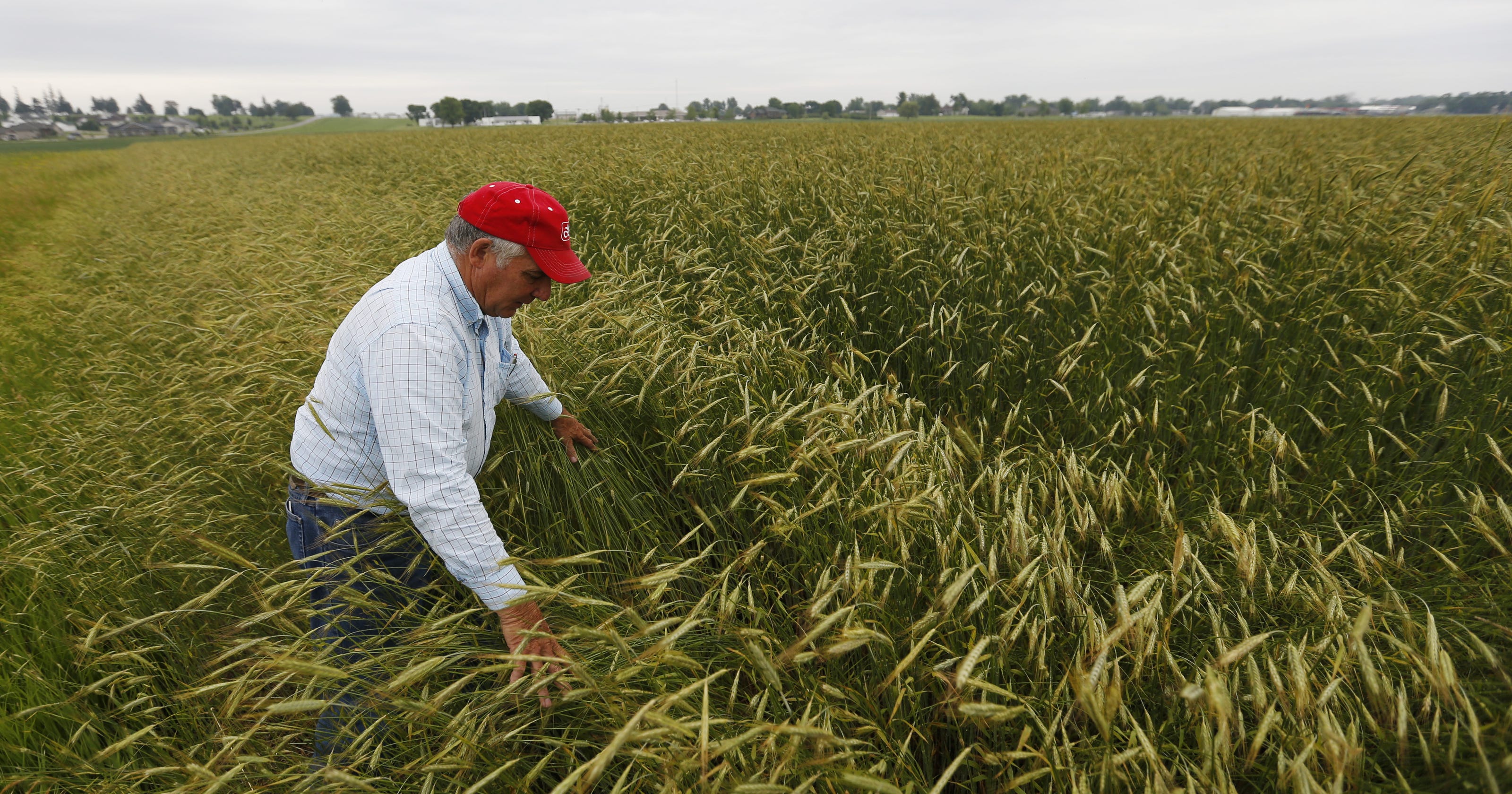 Corteva plans to give farmers $500,000 to develop, share ideas for fighting global warming - Des Moines Register