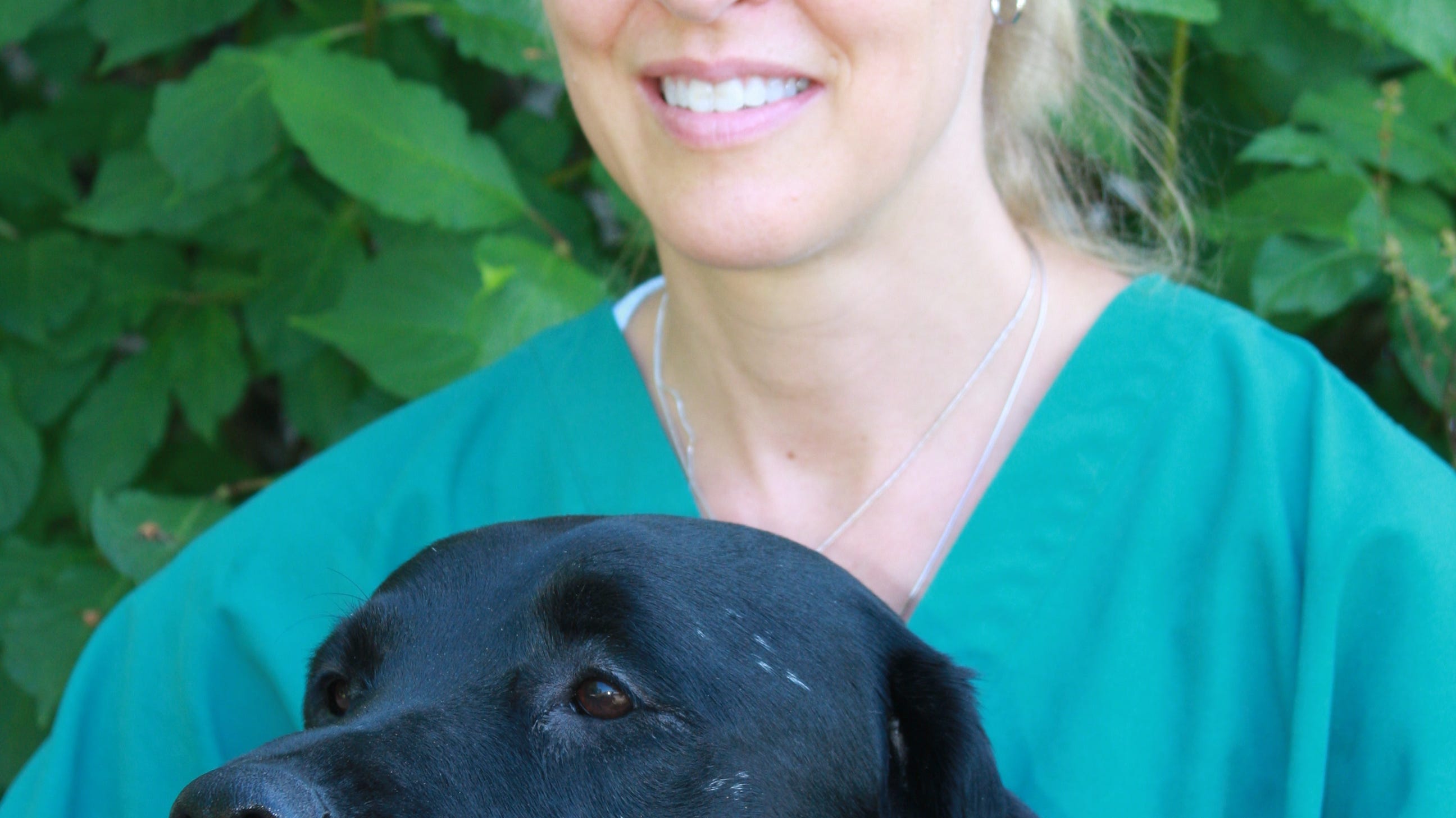 Why Does A Dog Pace At Night