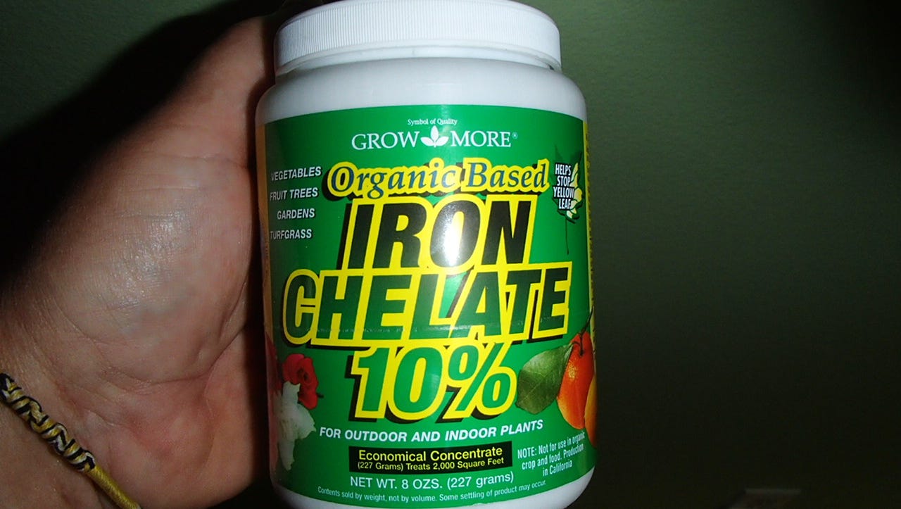 How Often Do I Use Chelated Iron For My Roses