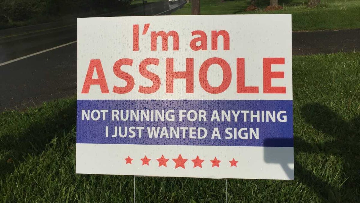 Rude Yard Sign In York County Satirizes Political Roadside Signs