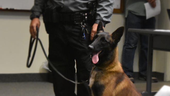 K-9 Zeus smiles at City Commissioners during his debut on Tuesday evening. Zeus is one of two new K-9s in the Alamogordo Police Department's K-9 Unit.