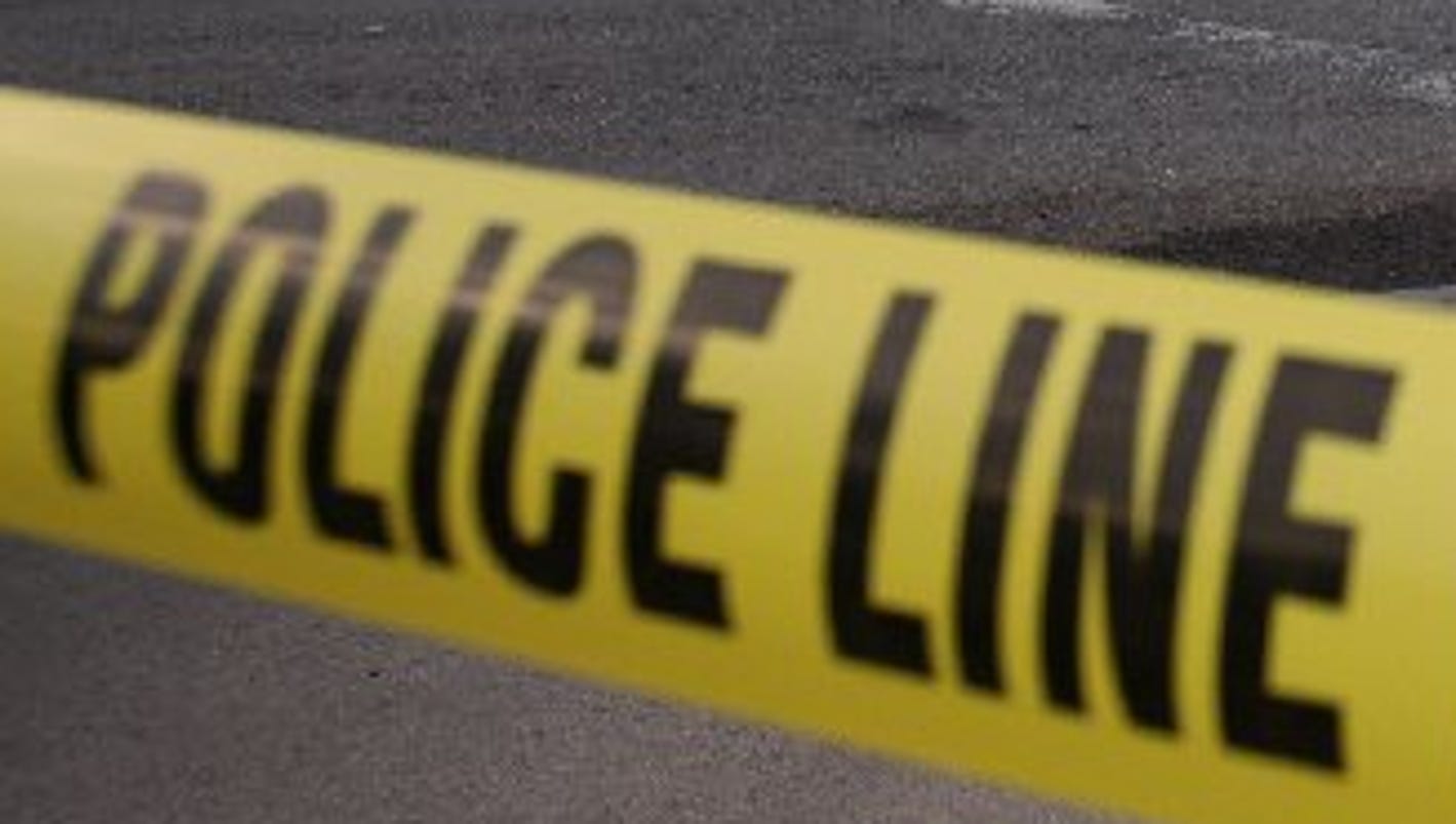 Video shows man pushing dogs to kill kitten in Detroit
