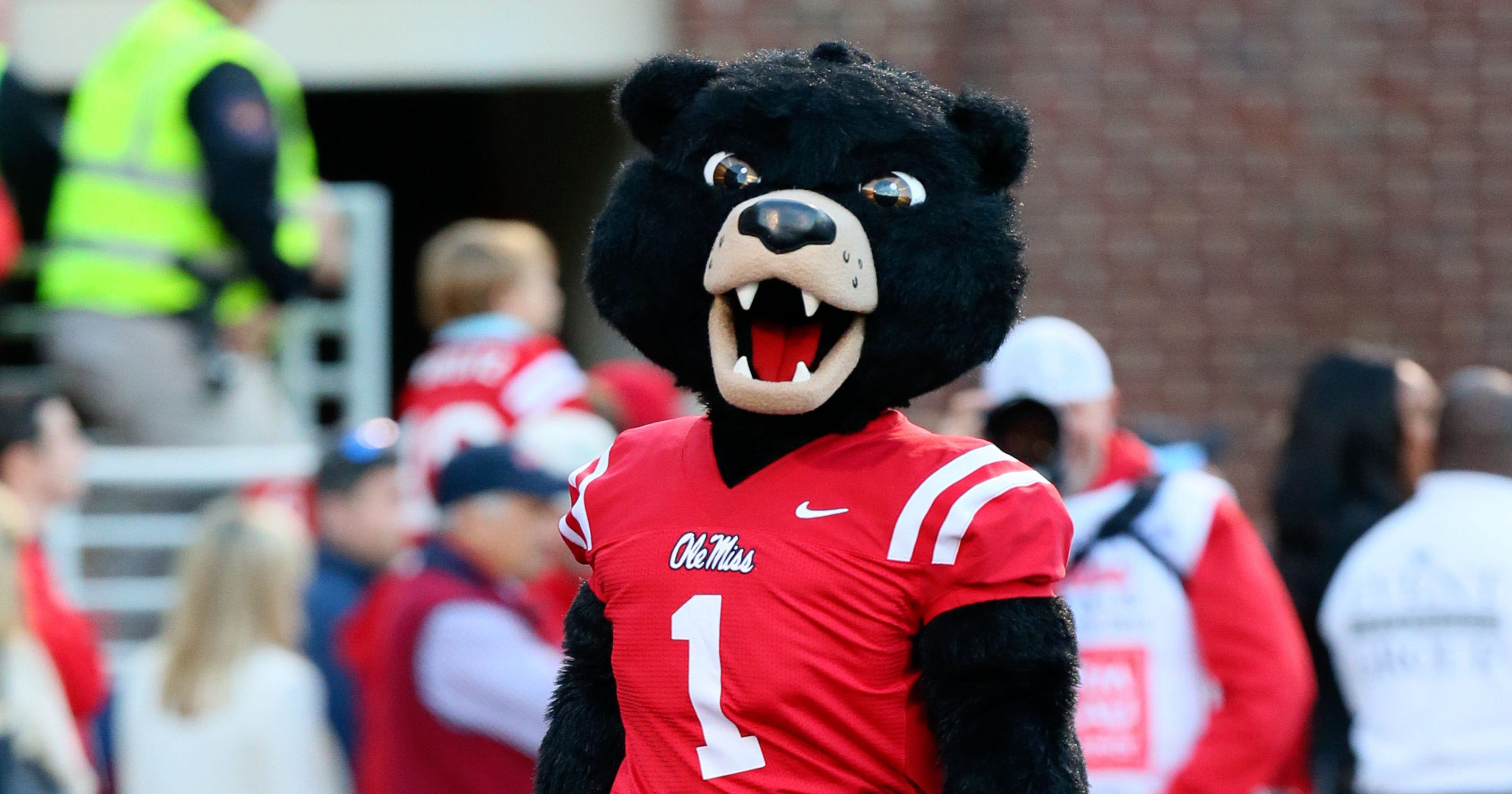 What's next in the Ole Miss mascot process?