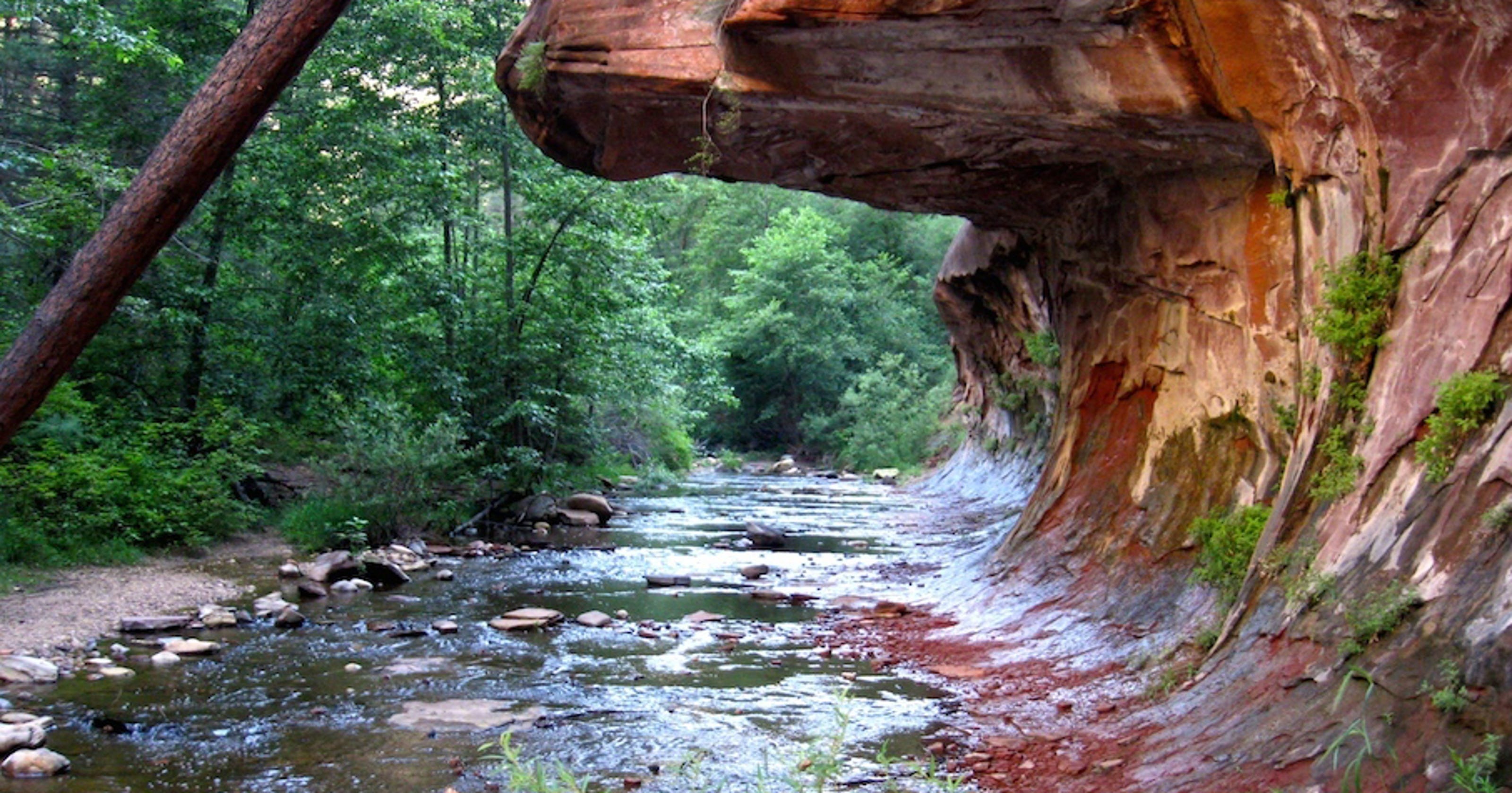 After the fire Hiking Sedona's West Fork of Oak Creek