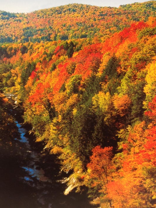 Vermont Fall Foliage Take This Killington Area Leaf