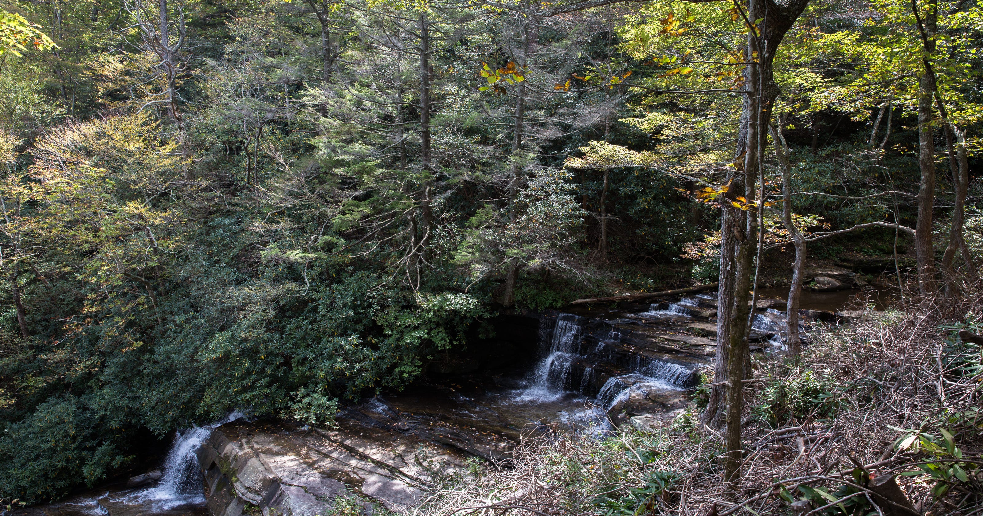 Skyline Trail In Chimney Rock Park Reopens After Many Years