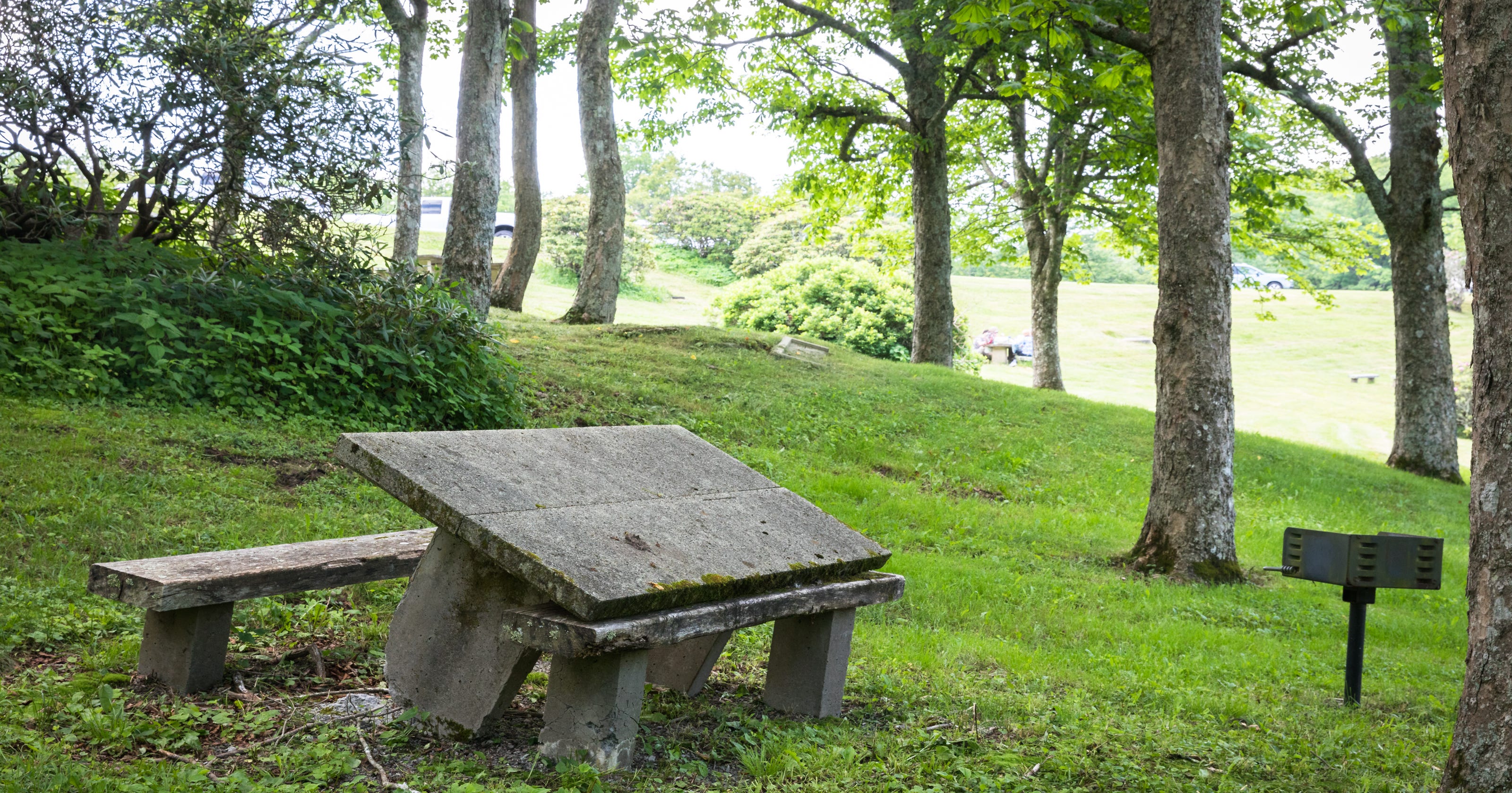 Blue Ridge Parkway Picnic Area Near Asheville In Need Of Repairs