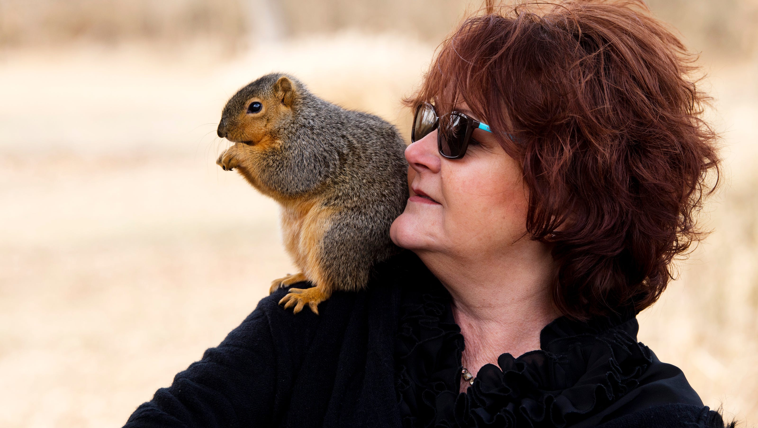 Abandoned Squirrel Baby Becomes Part Of Indiana Family Abandoned Squirrel Baby Becomes Part Of Indiana Family