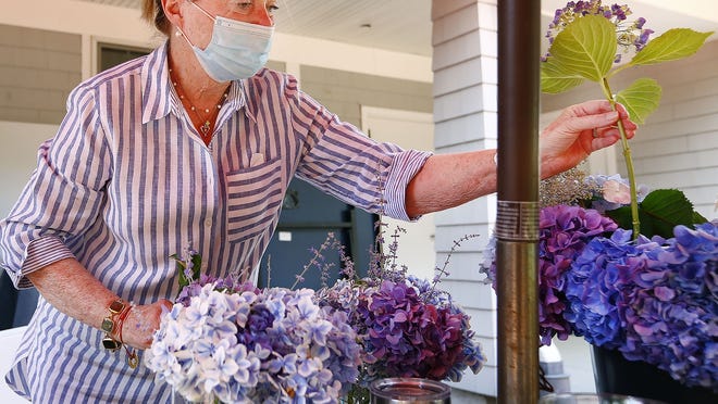 'It's a phenomenal year for hydrangeas'