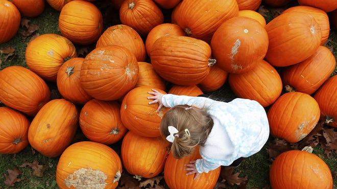 Melody Newark, 2, climbs on the mound of pumpkins waiting to be chucked.