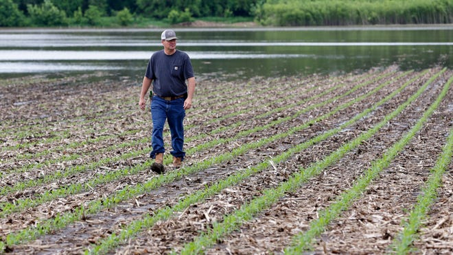 In this May 29, 2019 photo, Jeff Jorgenson looks over a partially flooded field he farms near Shenandoah, Iowa. About a quarter of his land was lost this year to Missouri River flooding from the neighboring Nishnabotna River.