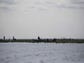 Fishing in Kissimee spotted by Andrew West and Chad
