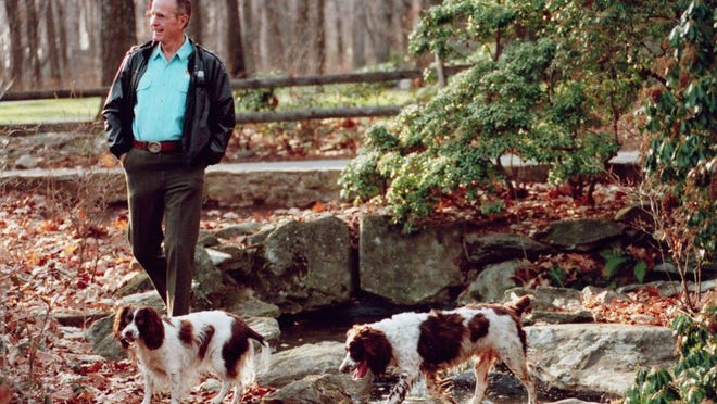 President George H.W. Bush enjoys a walk with Millie and Ranger at Camp David, Maryland, 1991.