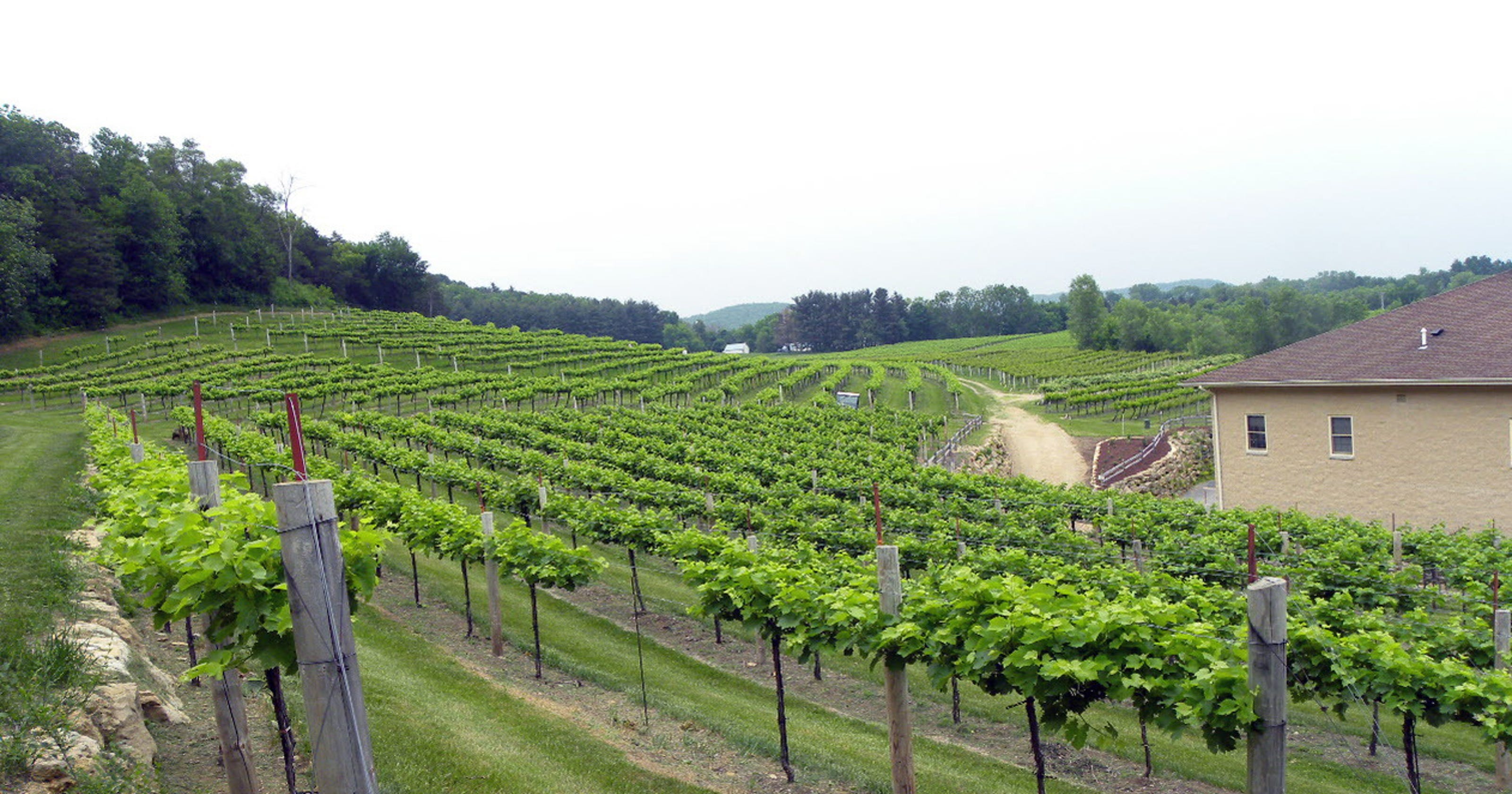 Day Out Wollersheim Winery is a slice of wine country in Wisconsin