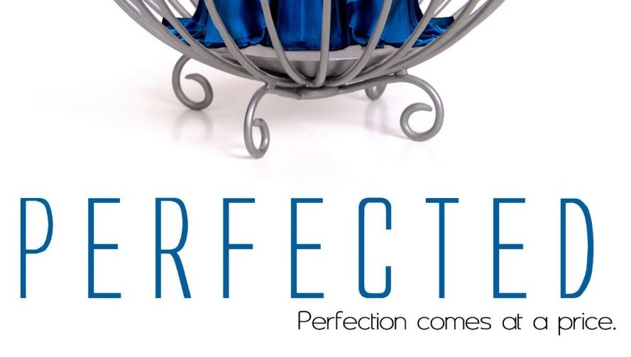 Interview: Kate Jarvik Birch, author of 'Perfected'