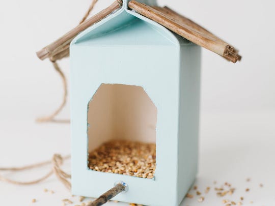 5 Easy Diy Bird Feeders