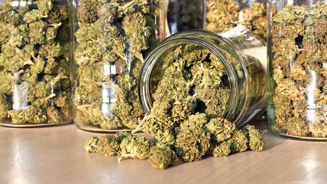 Marijuana Possession Might Soon Be Decriminalized In Shorewood Marijuana Possession Might Soon Be Decriminalized In Shorewood