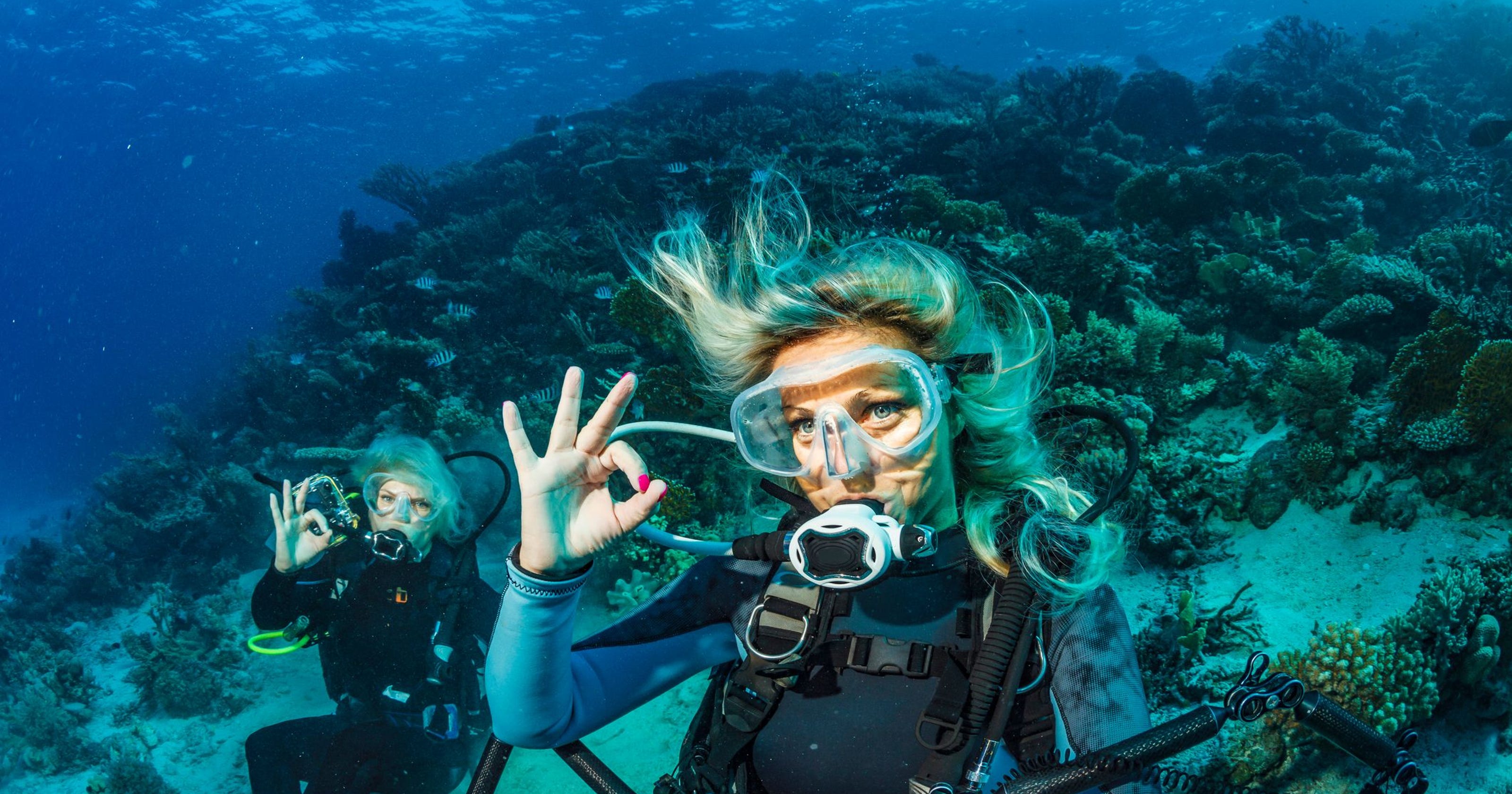 caribbean tourism diving