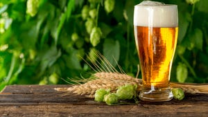 Hops come from a plant called Humulus lupulus.