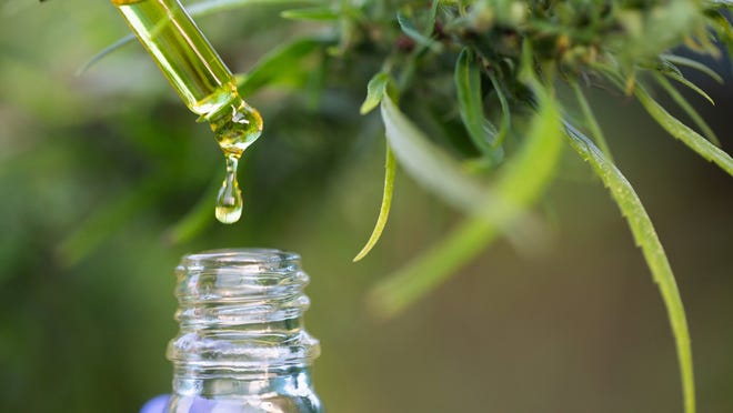 CBD Oil Benefits, Uses, Side Effects and Product Types - DrAxe
