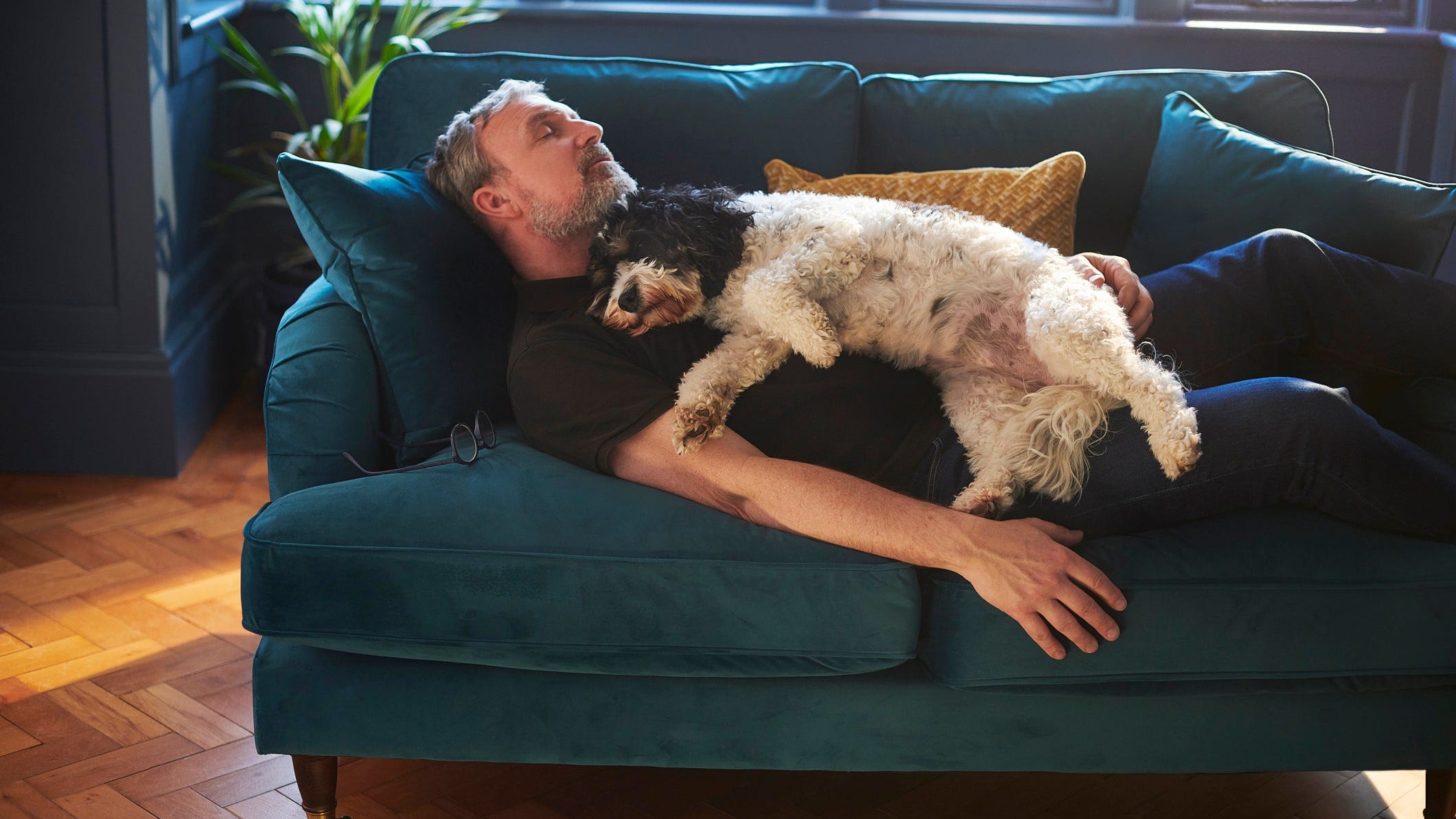 Do dogs have nightmares? Your pet's dream habits, explained.