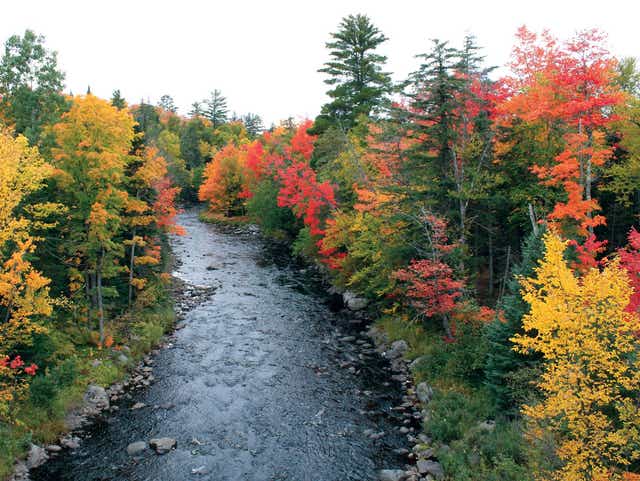 Week By Week When Michigan S Fall Colors Will Peak In 2018