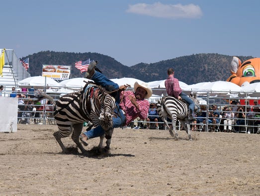 One rider takes a tumble off a zebra at the Virginia
