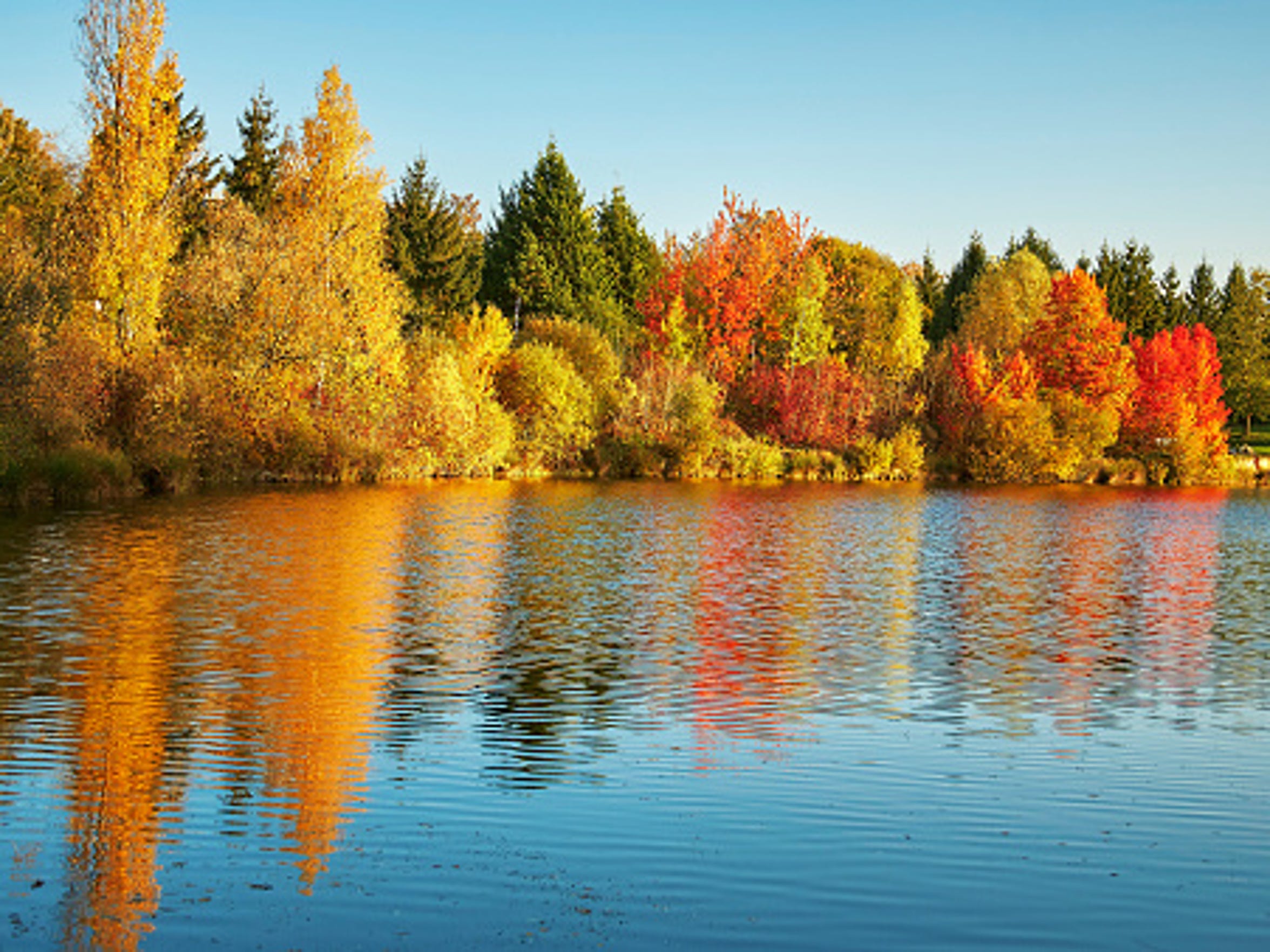 Ontario Fall Foliage