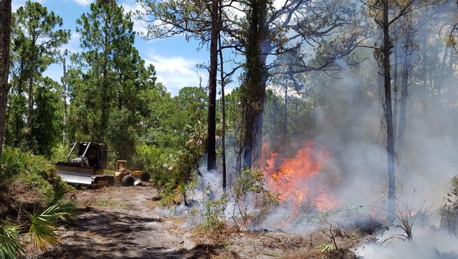A woodlands fire burned 2 acres in western Port. St. Lucie on Tuesday, June 27, 2017.