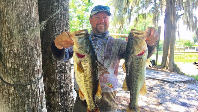 Jana Asplund of Palm Bay shows two bass he caught in Lake Cypress in May, including the 8.54-pounder that was heaviest for 2016 in the Palm Bay Bassmasters fishing club. Asplund won the Angler of the Year as the top points member in 11 tournaments and he also claimed the club's Classic Championship.