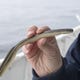 A Florida company could build a commercial eel farm in Michigan "class =" more-section-stories-thumb