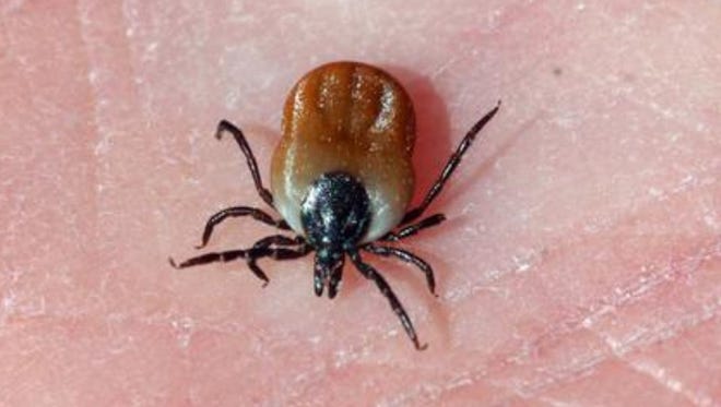 It's tick and mosquito season and you should take precautions to protect yourself, health officials warn.