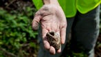 Naples And Southwest Florida News And Information Naples