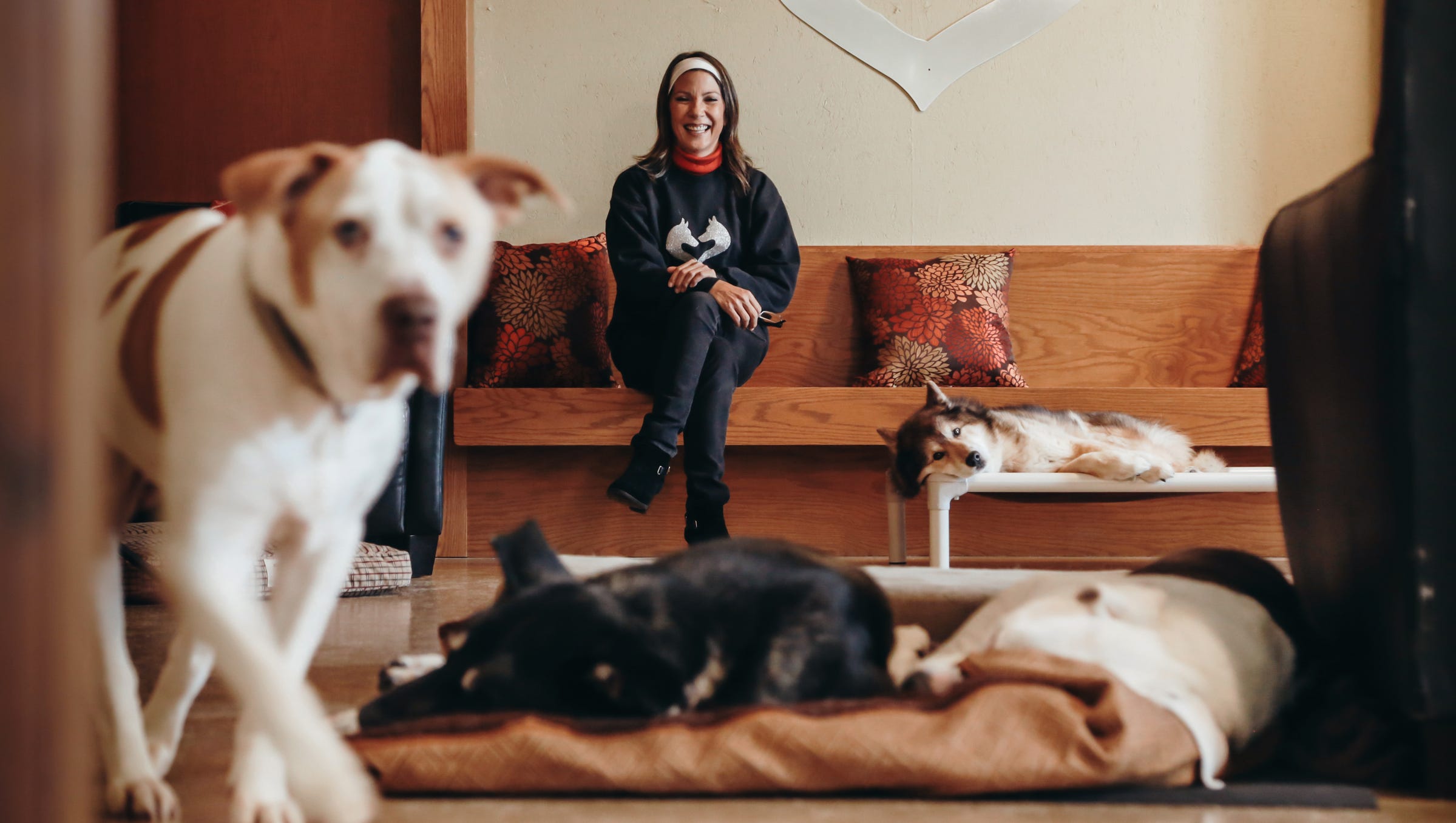 Even Old Sick Dogs Find Love At Michigan S Only Animal Hospice