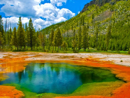 Risultati immagini per yellowstone