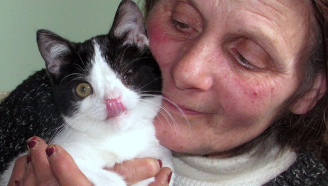 Animal rescuer Linda Reichel shows off her new family member, Shana Madel (Pretty Lady) a one-eyed kitten.