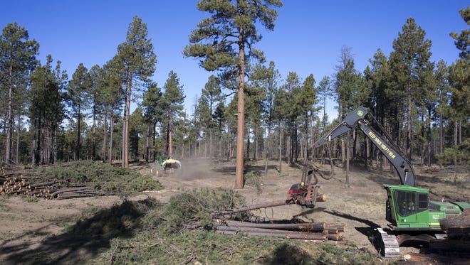 THINNING FORESTS: The Four Forest Restoration Initiative is an ambitious project to thin thousands of acres of overgrown land in the Apache-Sitgreaves, Coconino, Kaibab and Tonto national forests. Thinning is primarily aimed to reduce fire risk and protect ecological values but water managers are hoping the work also sends more water down the Verde and Salt rivers toward Phoenix.