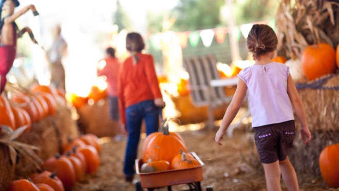 Cute Little Girls Pulling Their Pumpkins In A Wagon At A Pumpkin Patch One Fall Day.