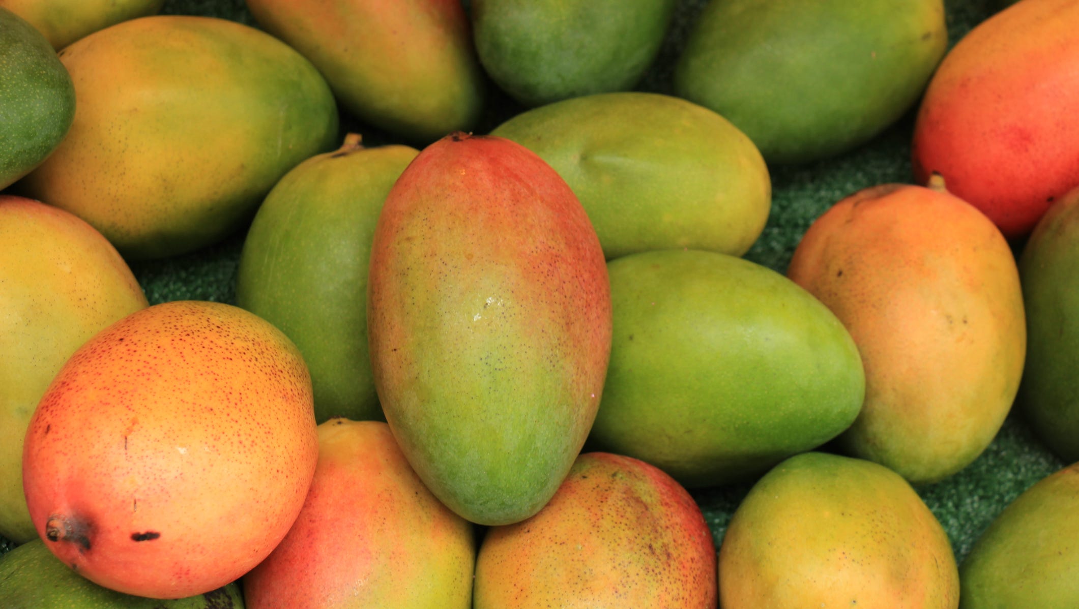 Kent mangoes are a favorite summer treat