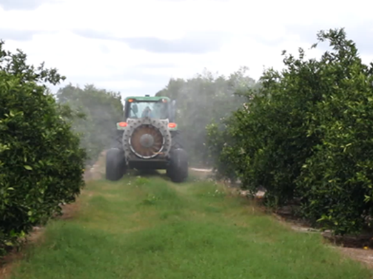 Florida Citrus Forecast Down From Last Month Growers Still Hopeful