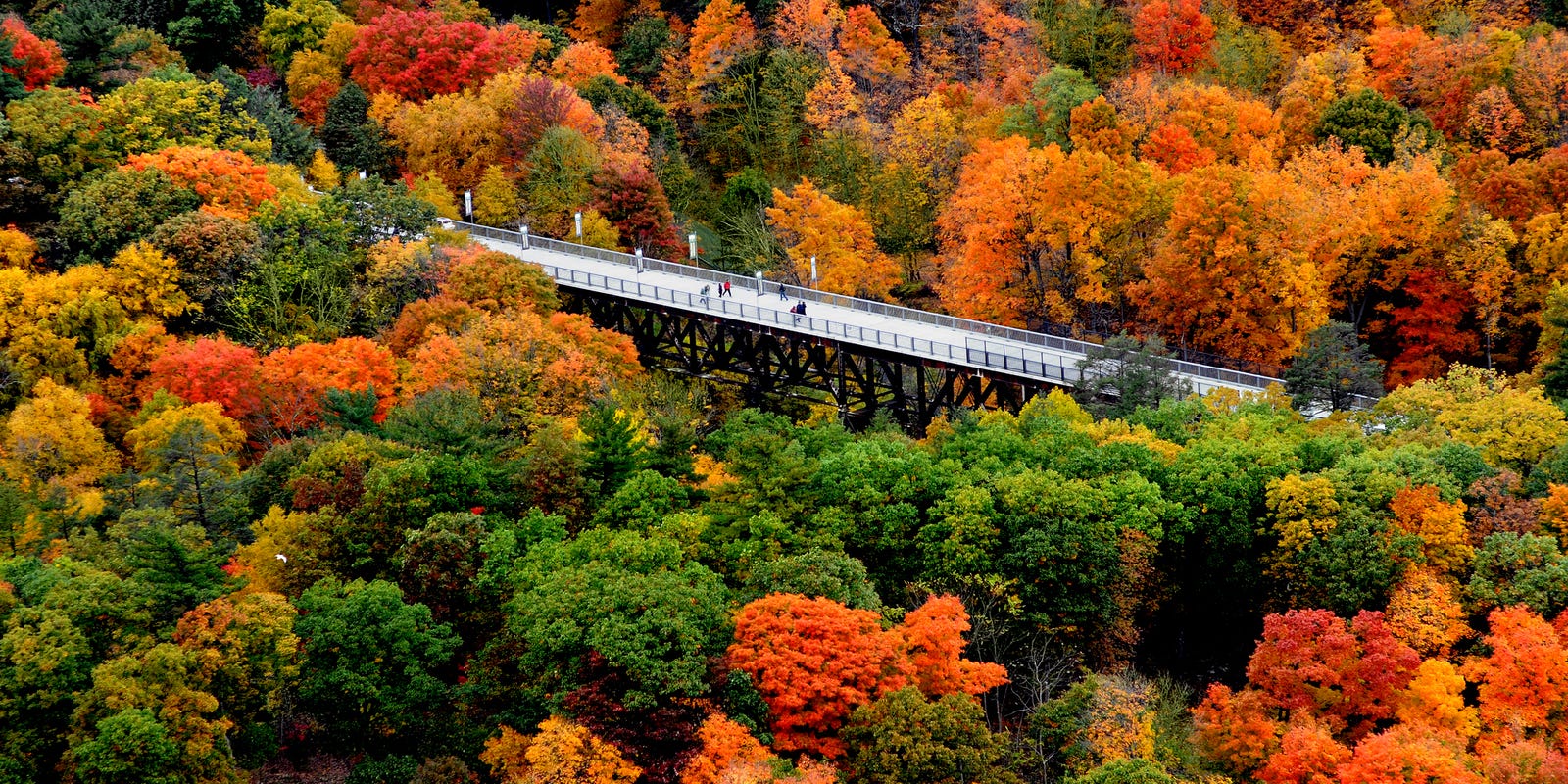 best time to visit new york for fall colors